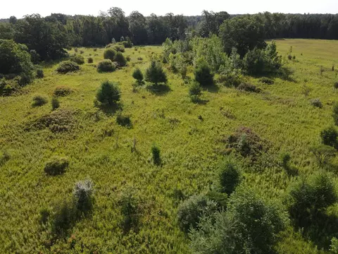 0 Vl Rose City Rd, Lupton, MI 48635 photo 21