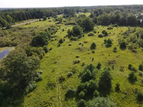 0 Vl Rose City Rd, Lupton, MI 48635 photo 10
