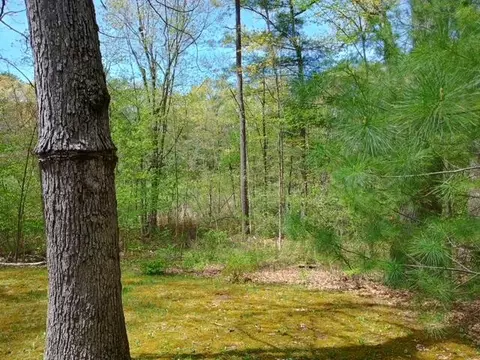 Exterior - 947 E 88th, Newaygo, MI 49337 photo 2 of 9