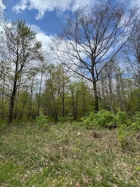 Other - 4203 155th, Hersey, MI 49639 photo 3 of 6