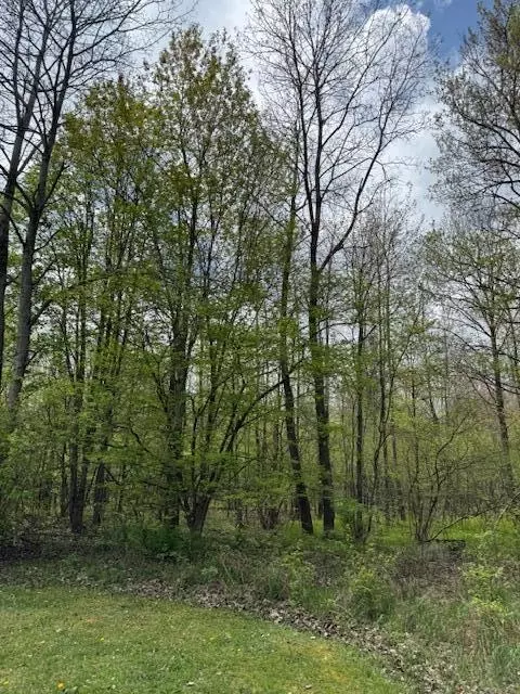 Other - 4203 155th, Hersey, MI 49639 photo 2 of 6