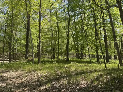 9236 Lost Cyn, Canadian Lakes, MI 49346