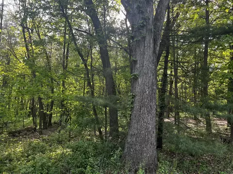 Parcel A Ivan, Saranac, MI 48881 photo 3