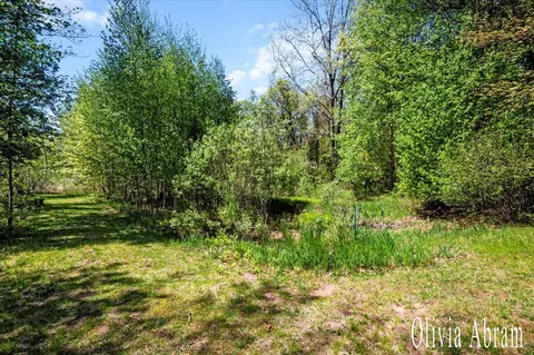 Exterior - 5159 82nd, Newaygo, MI 49337 photo 6 of 8