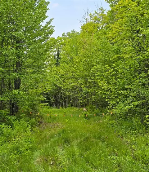 23990 Bass Lake Rd, Update, MI 49969