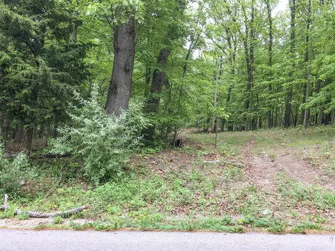 Surges, Niles, MI 49120 photo 8