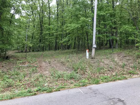 Surges, Niles, MI 49120 photo 7
