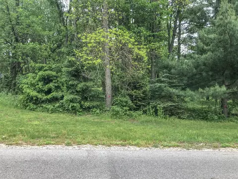 Surges, Niles, MI 49120 photo 5