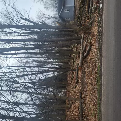 Burt Ave, Jackson, MI 49201