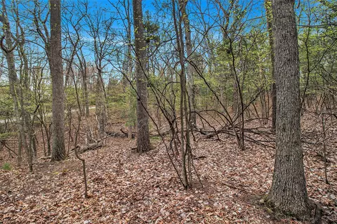 N Silver Ridge, Mears, MI 49436 photo 6
