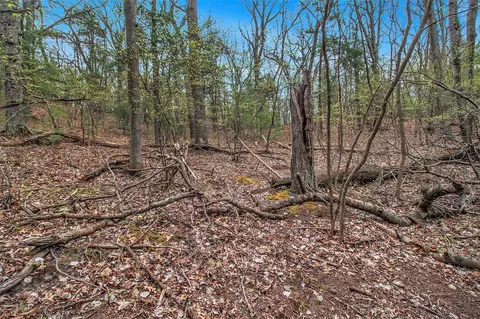 N Silver Ridge, Mears, MI 49436 photo 5