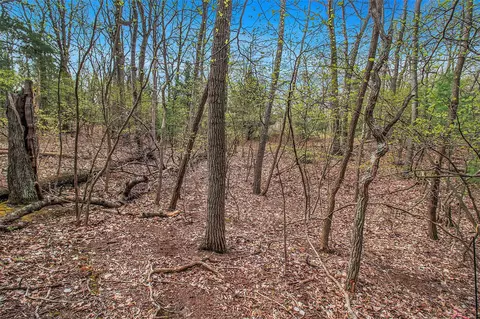 N Silver Ridge, Mears, MI 49436 photo 4