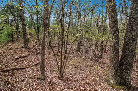N Silver Ridge, Mears, MI 49436
