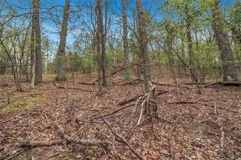 N Silver Ridge, Mears, MI 49436 photo 7
