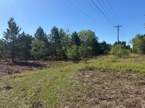 Parcel A Spruce, White Cloud, MI 49349