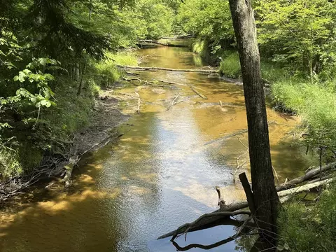 610 W Millerton, Scottville, MI 49454