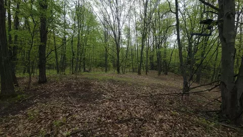0000 Cassiday, Gladwin, MI 48624 photo 10