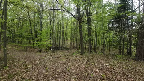 0000 Cassiday, Gladwin, MI 48624 photo 11