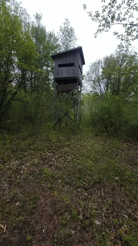 0000 Cassiday, Gladwin, MI 48624 photo 8