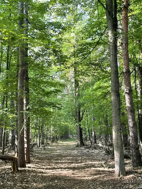 Mortimer Line, Croswell, MI 48422