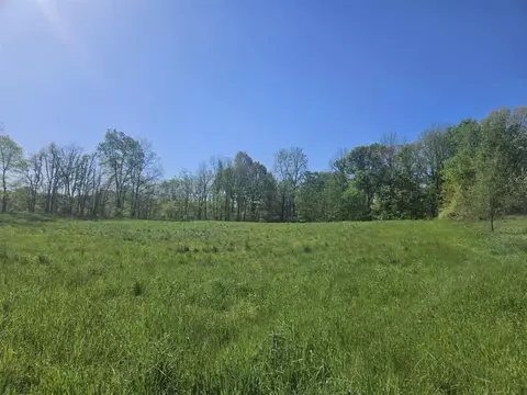 Jones, Bellevue, MI 49021