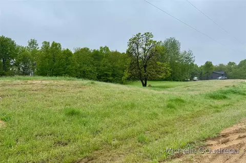 Parcel 2 Leaf Lane, Freeport, MI 49325 photo 3