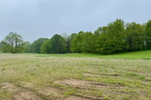 Parcel 2 Leaf Lane, Freeport, MI 49325 photo 6