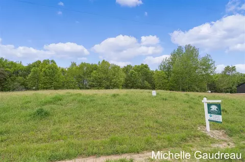 Parcel 2 Leaf Lane, Freeport, MI 49325 photo 2