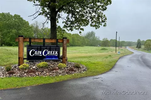 Parcel 2 Leaf Lane, Freeport, MI 49325 photo 5