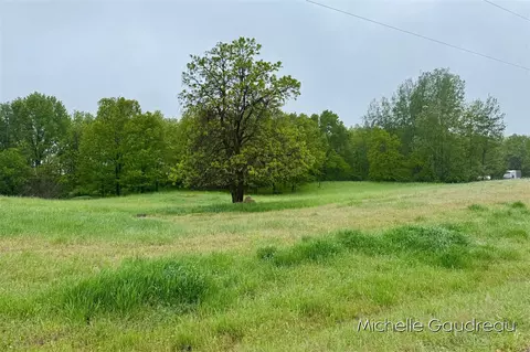 Parcel 2 Leaf Lane, Freeport, MI 49325 photo 4