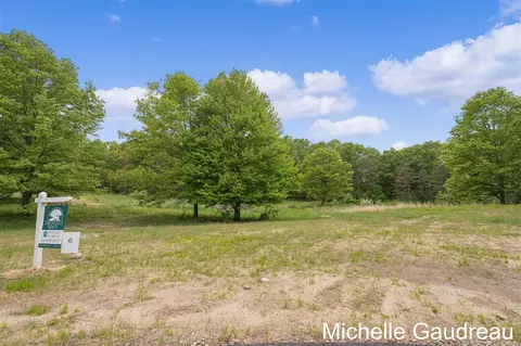 Parcel 6 Leaf Lane, Freeport, MI 49325 photo 5