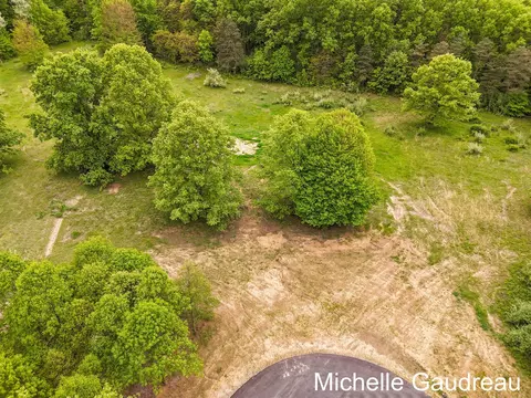 Parcel 6 Leaf Lane, Freeport, MI 49325 photo 3
