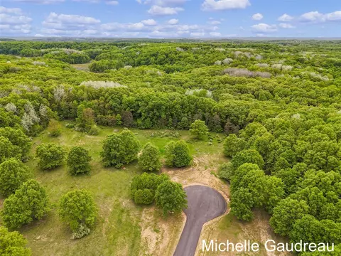 Parcel 6 Leaf Lane, Freeport, MI 49325