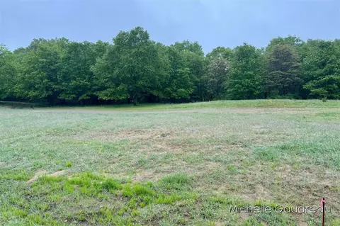 Parcel 8 Leaf Lane, Freeport, MI 49325 photo 4