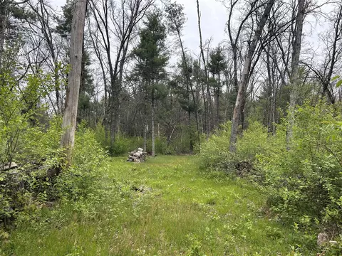 6986 W Baldwin, Baldwin, MI 49304 photo 6