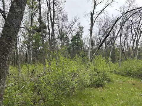 6986 W Baldwin, Baldwin, MI 49304 photo 7