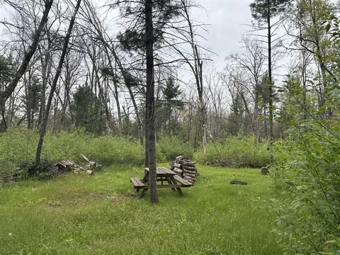 6986 W Baldwin, Baldwin, MI 49304 photo 3