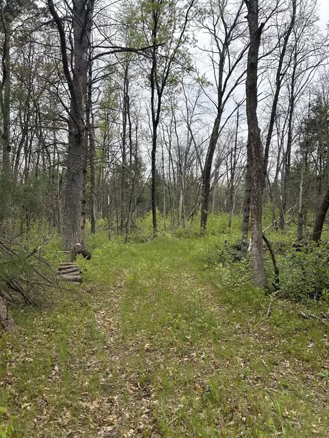 6986 W Baldwin, Baldwin, MI 49304 photo 2