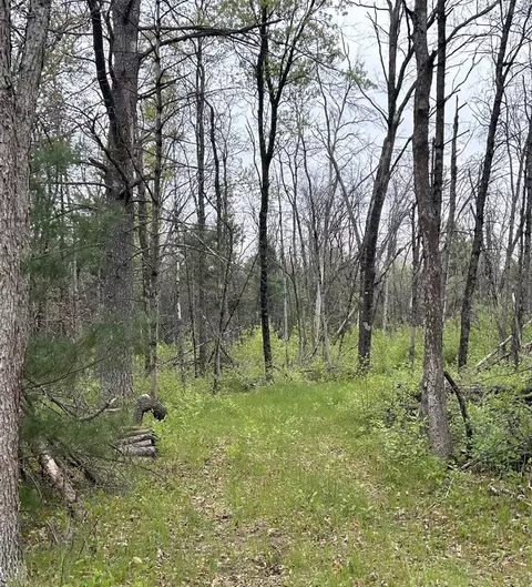 6986 W Baldwin, Baldwin, MI 49304 photo 5