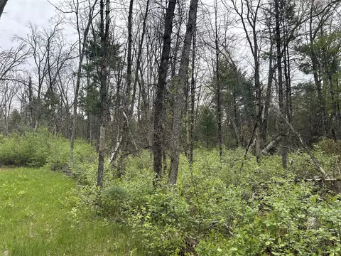 6986 W Baldwin, Baldwin, MI 49304 photo 8