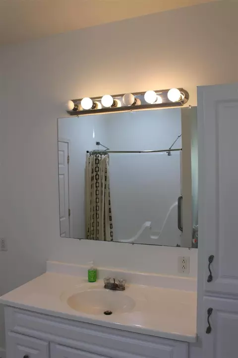 Bath - 151 Ernest, Brooklyn, MI 49230 photo 1 of 2
