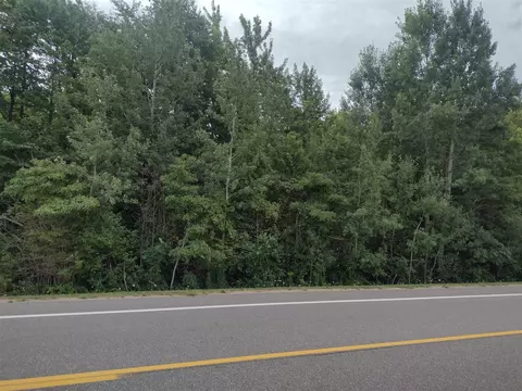 0000 Blue Star, Fennville, MI 49408