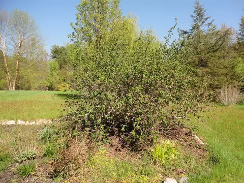 5925 113th, Pullman, MI 49450 photo 18