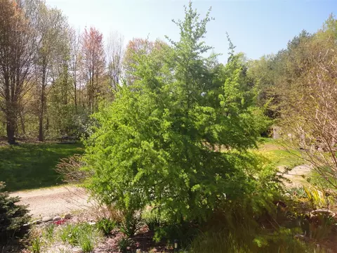 5925 113th, Pullman, MI 49450 photo 17