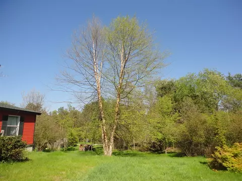 5925 113th, Pullman, MI 49450 photo 3
