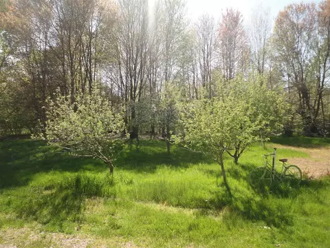 5925 113th, Pullman, MI 49450 photo 12