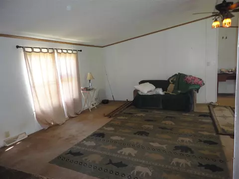 5925 113th, Pullman, MI 49450 photo 31