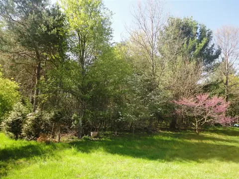 5925 113th, Pullman, MI 49450 photo 19