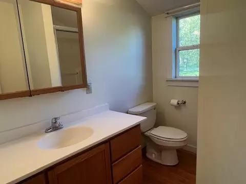 52 N Webster, White Cloud, MI 49349 photo 5