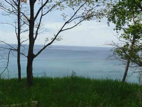 s lakeshore, Ludington, MI 49431